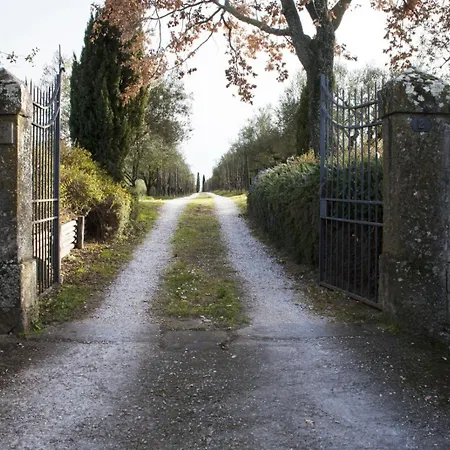 Le Piagge Della Sala Viterbe